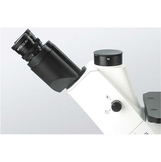 BS-2093AF Inverted Biological Fluorescent Microscope