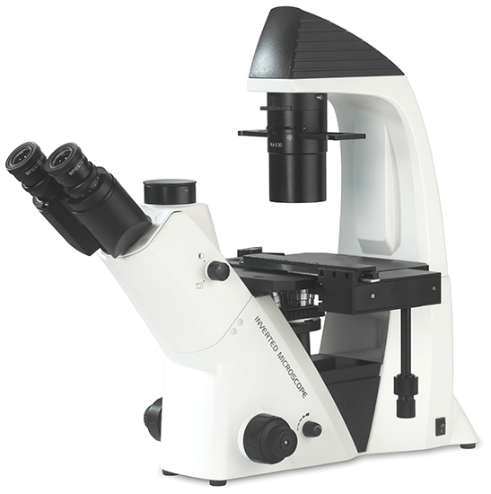 BS-2093AF(LED) Inverted Biological Fluorescent Microscope
