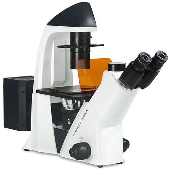 BS-2093AF Inverted Biological Fluorescent Microscope