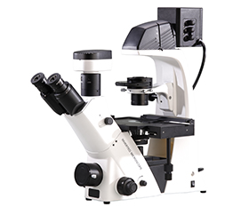 BS-2093BF Inverted Biological Fluorescent Microscope