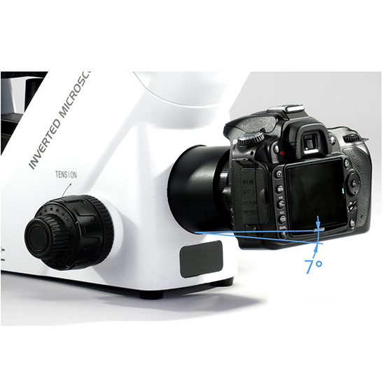 BS-2093B Inverted Biological Microscope