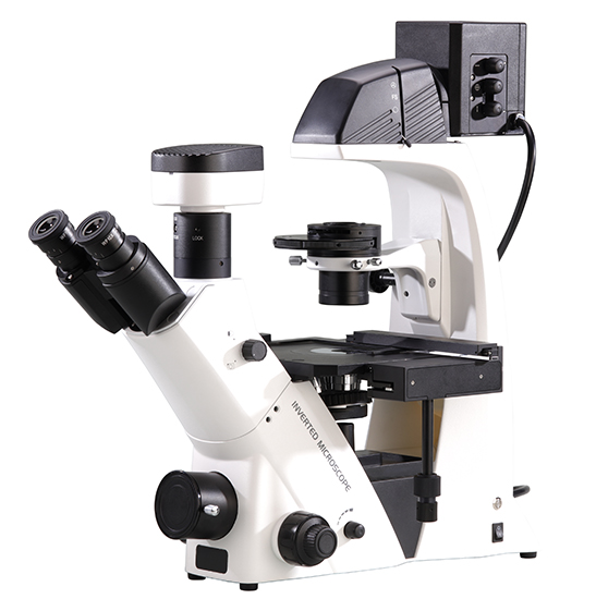 BS-2093BF Inverted Biological Fluorescent Microscope