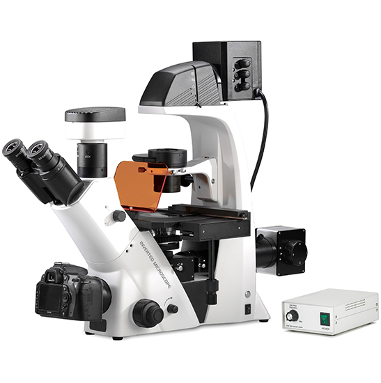 BS-2093BF(LED) Inverted Biological Fluorescent Microscope