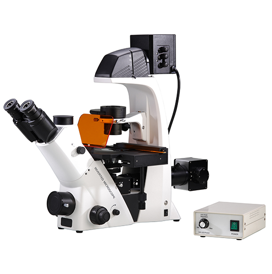 BS-2093BF(LED) Inverted Biological Fluorescent Microscope