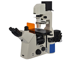 BS-2095F Research Fluorescent Inverted Microscope