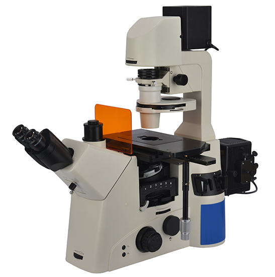 BS-2095F Research Fluorescent Inverted Microscope