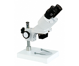 BS-3002A Binocular Stereo Microscope