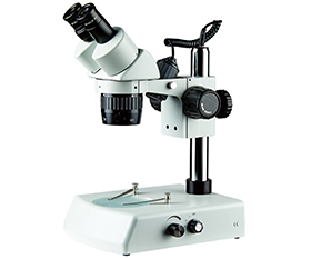 BS-3014B Binocular Stereo Microscope