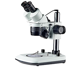 BS-3014D Binocular Stereo Microscope