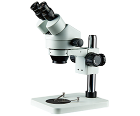 BS-3025B1 Binocular Zoom Stereo Microscope