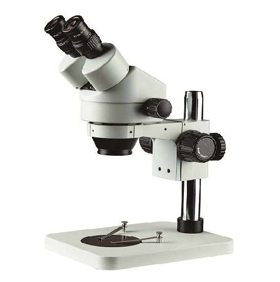 BS-3025B1 Zoom Stereo Microscope