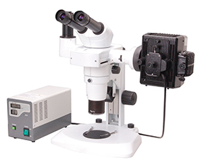 BS-3060FB Fluorescent Binocular Stereo Microscope