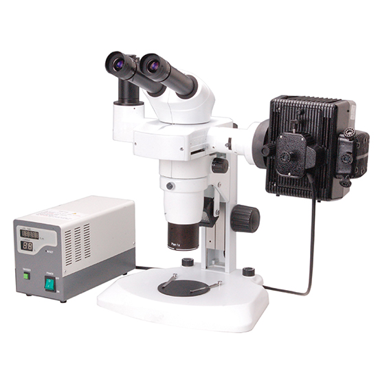 BS-3060FA Fluorescent Binocular Stereo Microscope