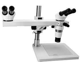 BS-3060MH4C Dual Head Zoom Stereo Teaching Microscope