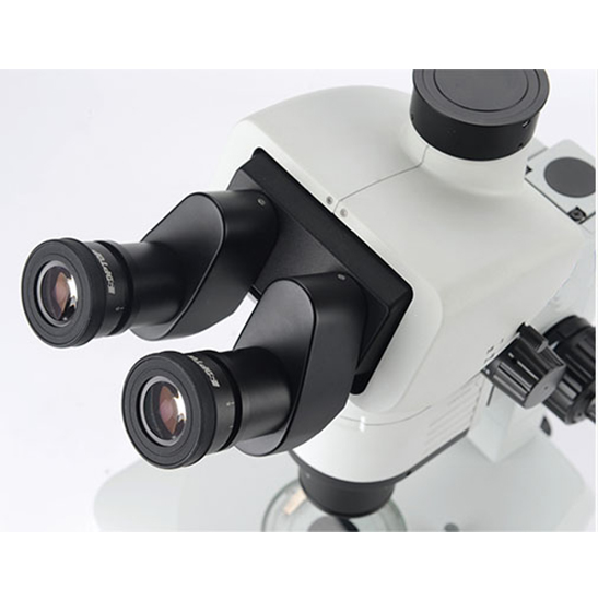 BS-3080A Parallel Light Zoom Stereo Microscope
