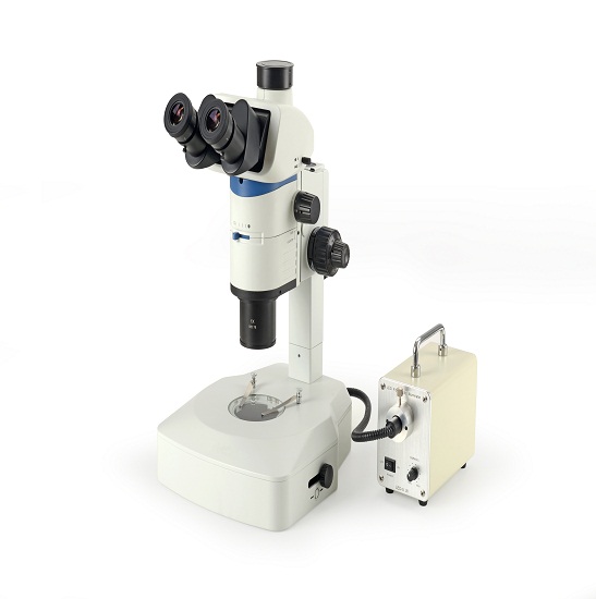 BS-3080 Parallel Light Zoom Stereo Microscope