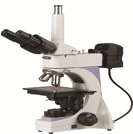 BS-6000AT Metallurgical Microscope