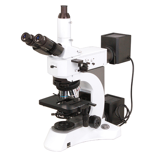 BS-6022RF Laboratory Metallurgical Microscope