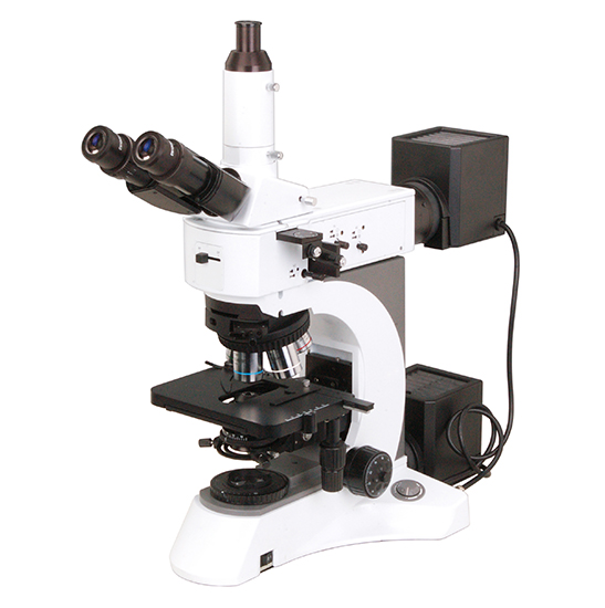 BS-6022TRF Laboratory Metallurgical Microscope