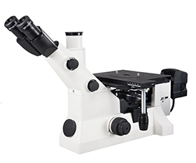 BS-6030 Inverted Metallurgical Microscope