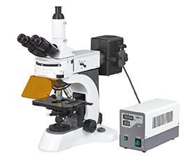 BS-7000A Upright Fluorescent Biological Microscope