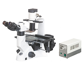 BS-7000B Inverted Fluorescent Biological Microscope