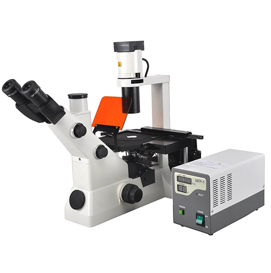 BS-7020 Inverted Fluorescent Biological Microscope