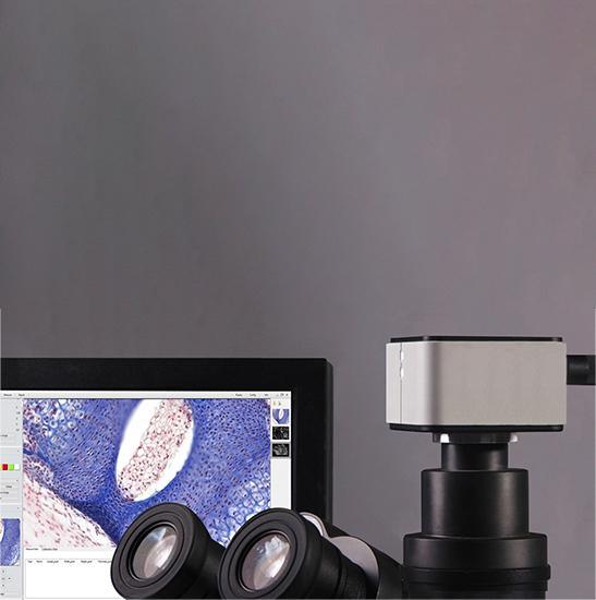 BUC5H-500C USB3.0 Digital Microscope Camera (Sony IMX264LQR-C Sensor, 5.0MP)
