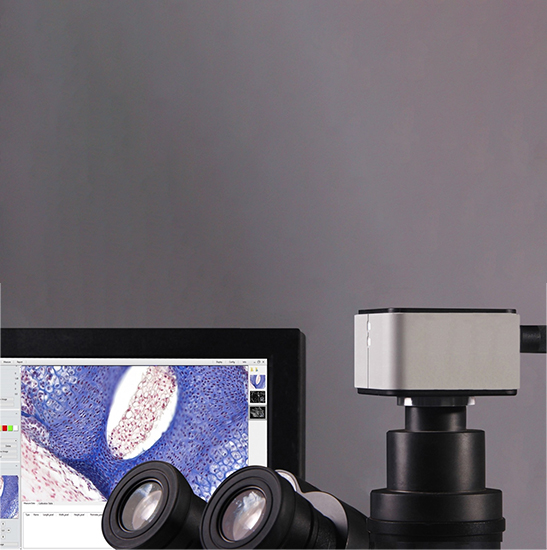 BUC5H-600C USB3.0 Digital Microscope Camera (Sony IMX178LQJ-C Sensor, 6.0MP)