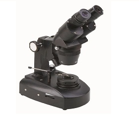BS-8020B Gemological Microscope