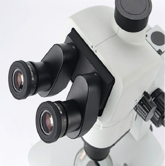 BS-3080 Parallel Light Zoom Stereo Microscope