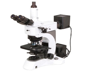 BS-6022TRF Laboratory Metallurgical Microscope