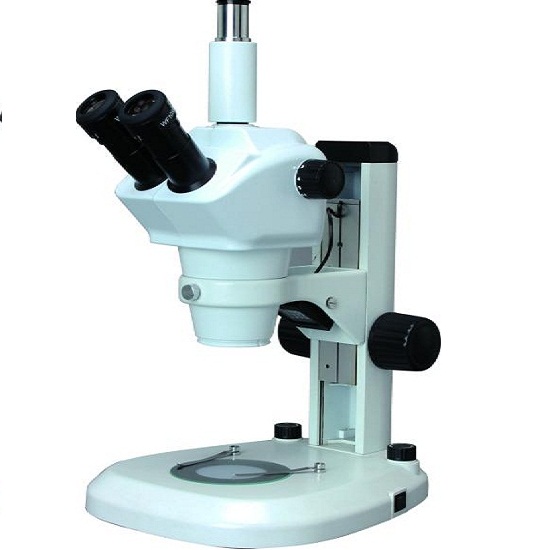 BS-3040T Zoom Stereo Microscope