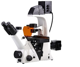 BS-2093BF Inverted Biological Fluorescent Microscope