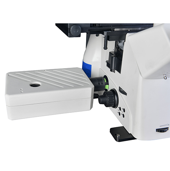 BCF295 Laser Scanning Confocal Microscopy