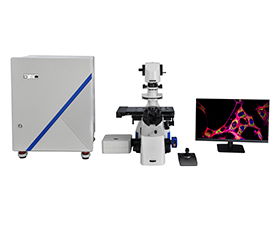 BCF295 Laser Scanning Confocal Microscope