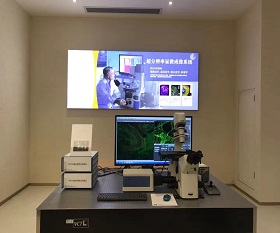 BCF295 Laser Scanning Confocal Microscopy