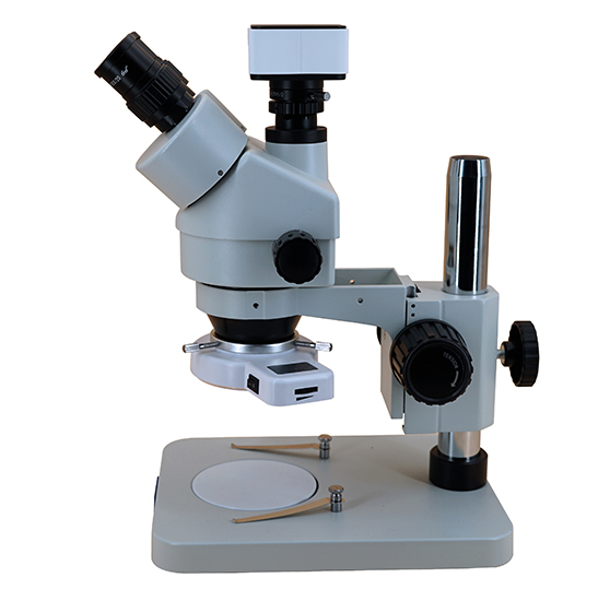 BS-3025T1(500L) Digital Zoom Stereo Microscope