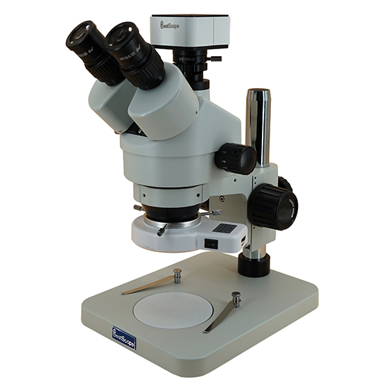 BS-3025T1(500L) Digital Zoom Stereo Microscope