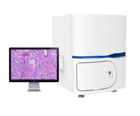 Scanpro-400 Digital Pathological Slide Scanner