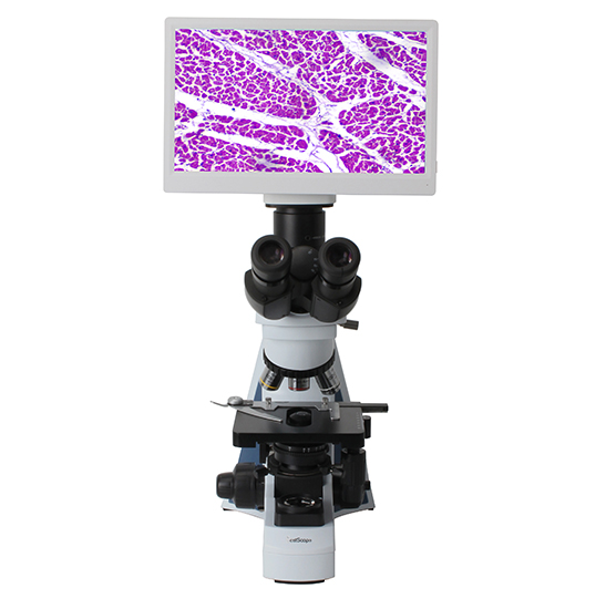 BLM2-241 LCD Digital Biological Microscope