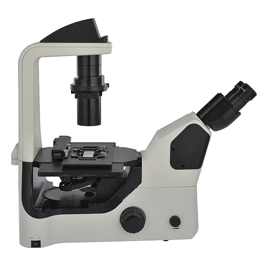 BS-2094AF LED Fluorescent Inverted Biological Microscope