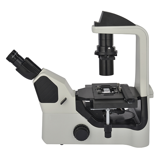 BS-2094A Inverted Biological Microscope