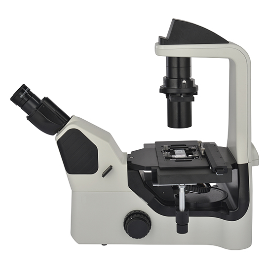 BS-2094AF LED Fluorescent Inverted Biological Microscope