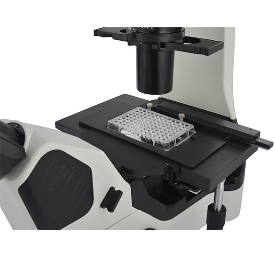 BS-2094AF LED Fluorescent Inverted Biological Microscope