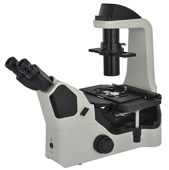 BS-2094AF LED Fluorescent Inverted Biological Microscope