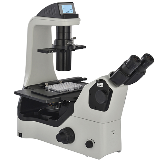 BS-2094BF LED Fluorescent Inverted Biological Microscope