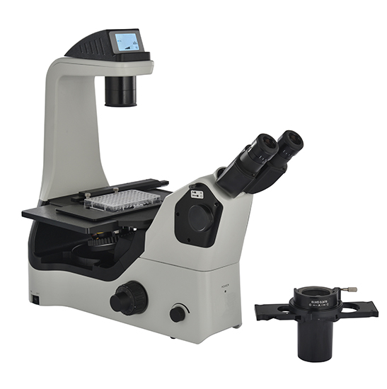 Bestscope BS-2040fb (LED) Fluorescent Biological Microscope for Lab  Research - China Microscope Price, Biological Microscope