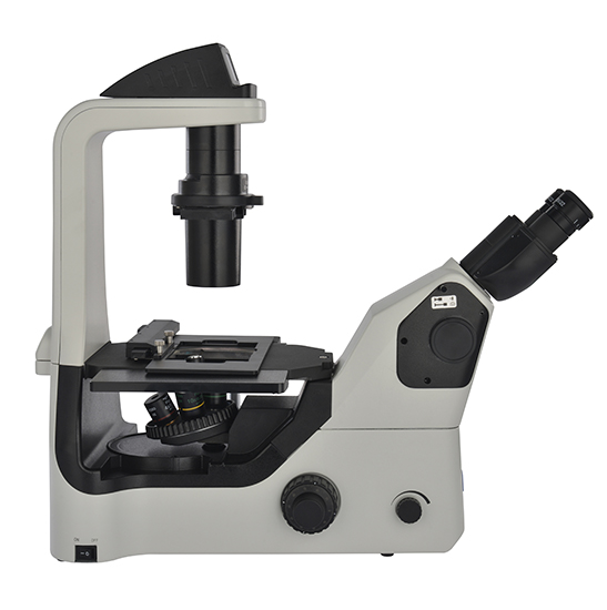 BS-2094BF LED Fluorescent Inverted Biological Microscope