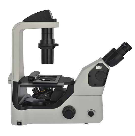 Bestscope BS-2040fb (LED) Fluorescent Biological Microscope for Lab  Research - China Microscope Price, Biological Microscope